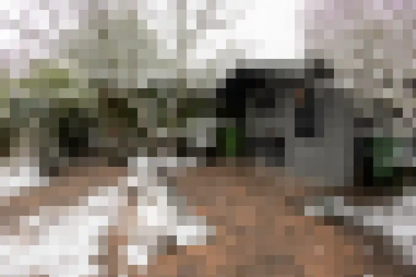 Kieftveen 18 Voorthuizen thumbnail 10