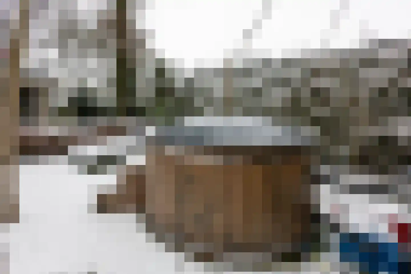 Kieftveen 18 Voorthuizen thumbnail 11