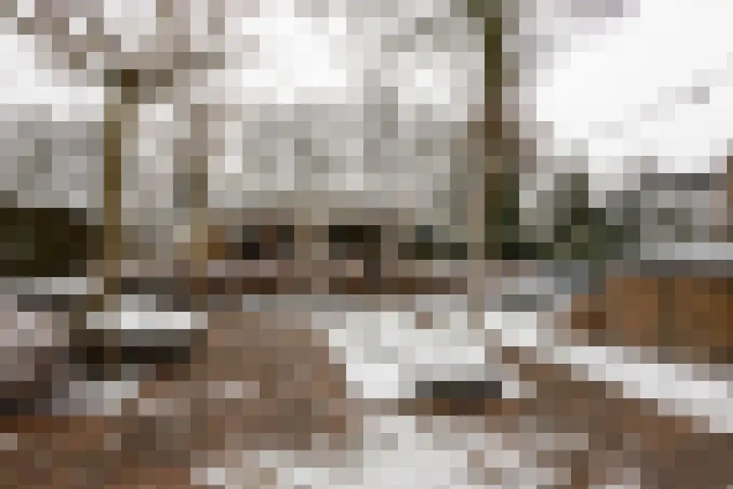 Kieftveen 18 Voorthuizen thumbnail 12