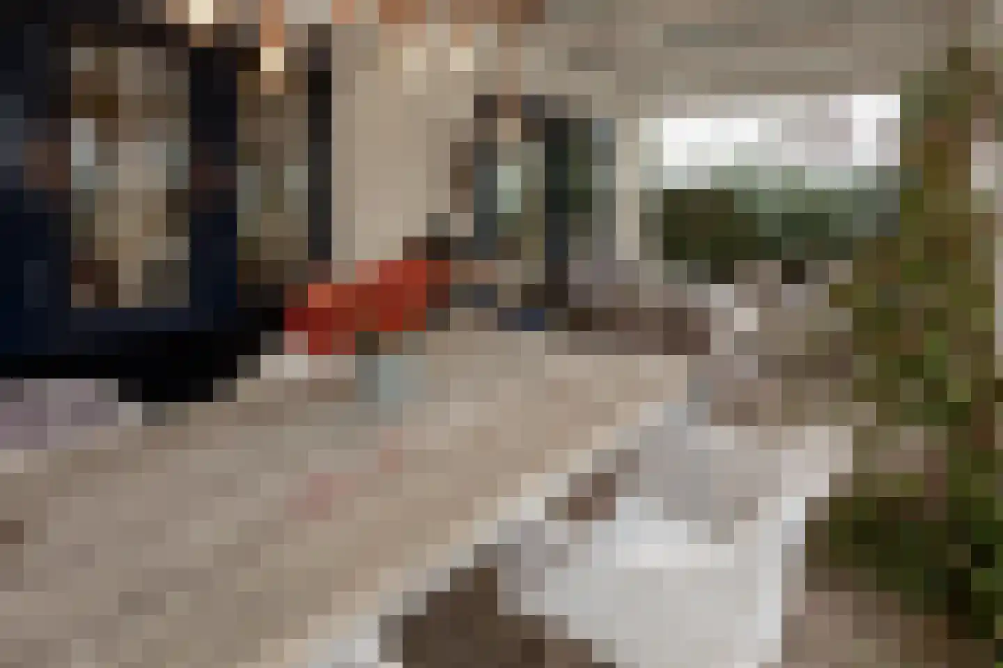 Kieftveen 18 Voorthuizen thumbnail 15