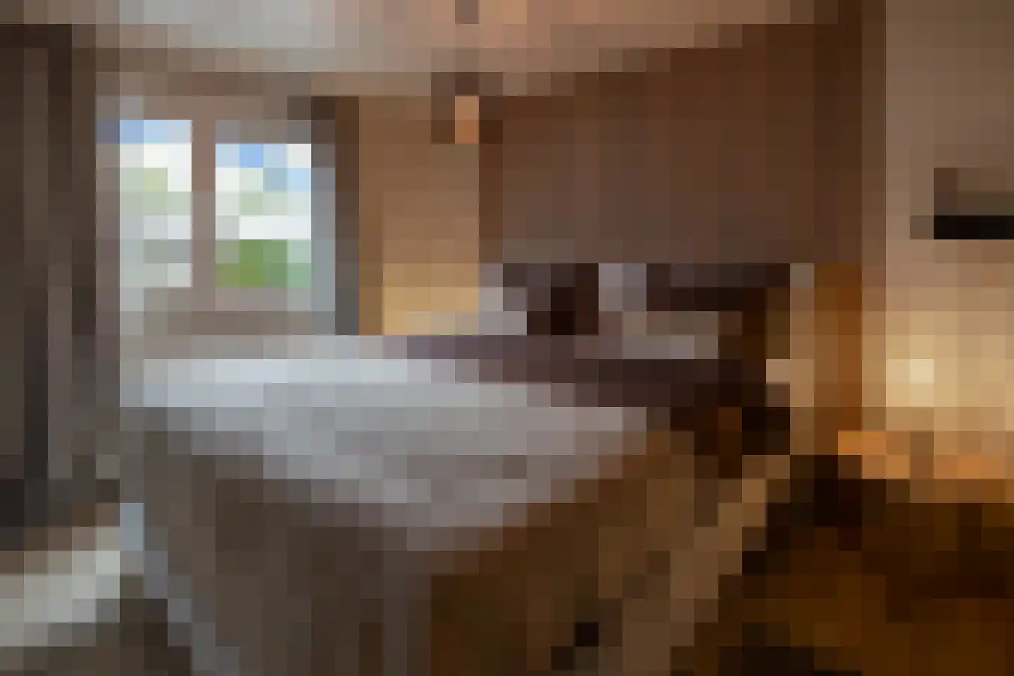Kieftveen 18 Voorthuizen thumbnail 20