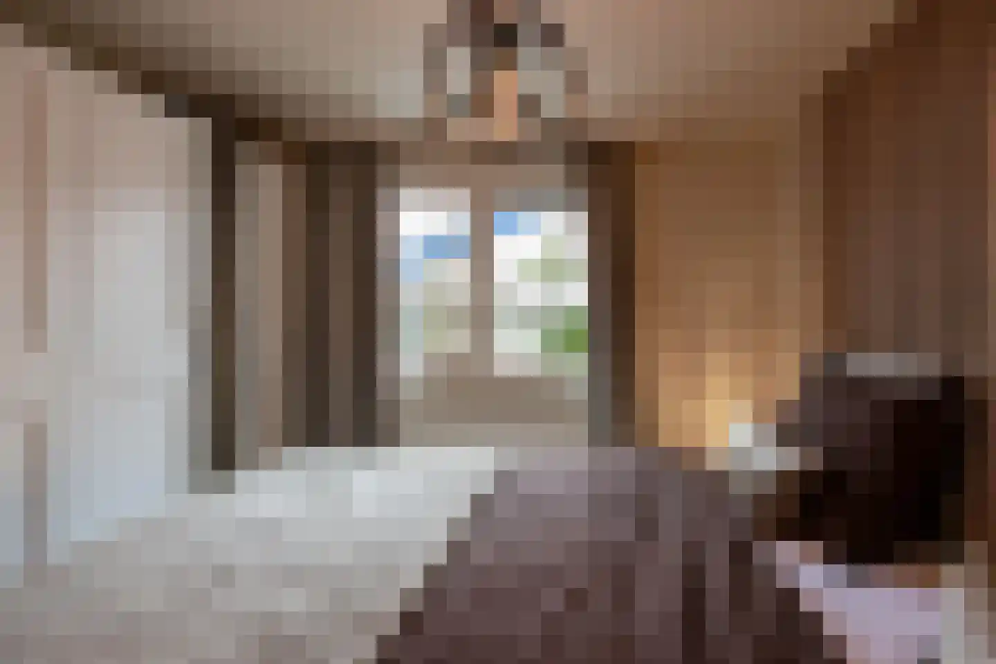 Kieftveen 18 Voorthuizen thumbnail 21