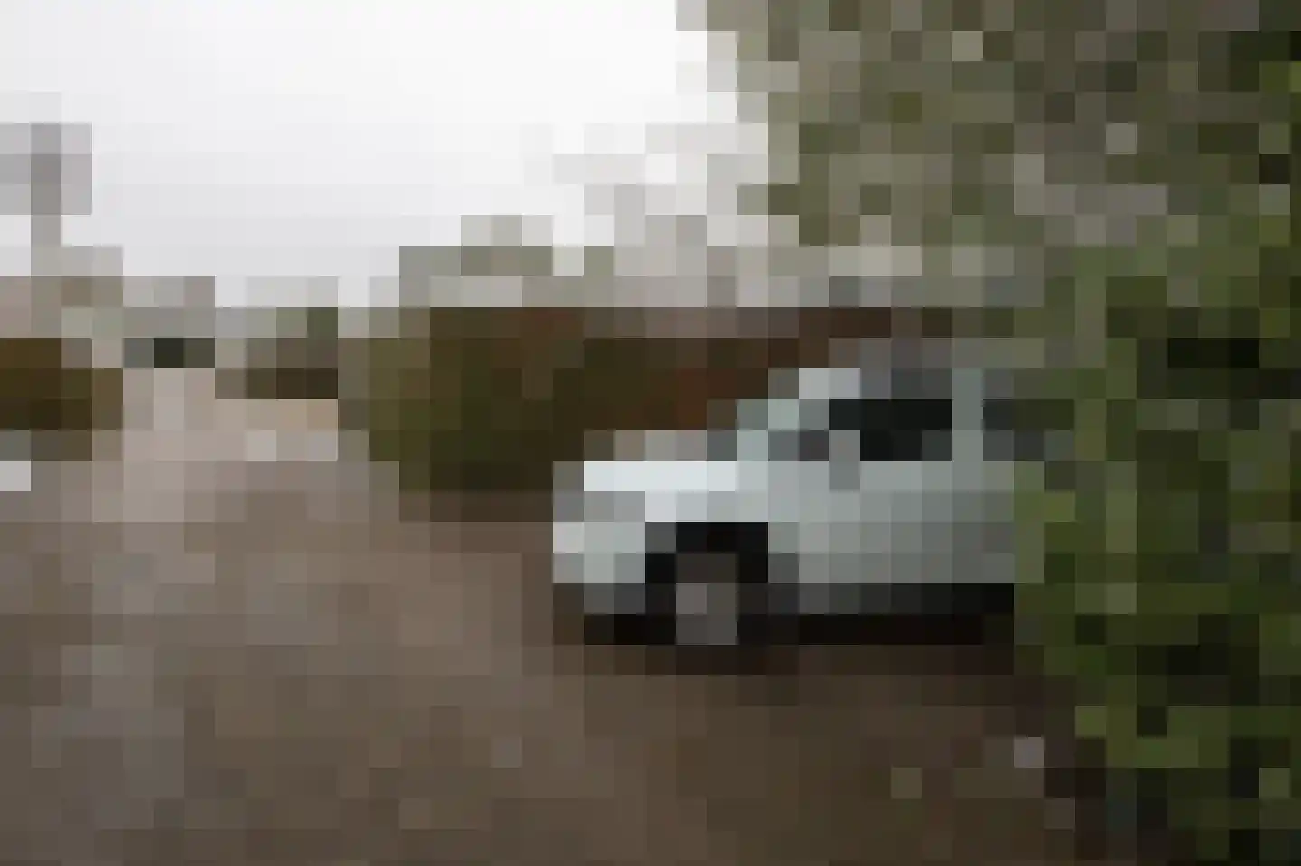 Kieftveen 18 Voorthuizen thumbnail 30