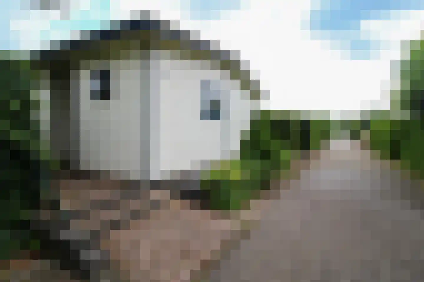 Kieftveen 18 Voorthuizen thumbnail 31