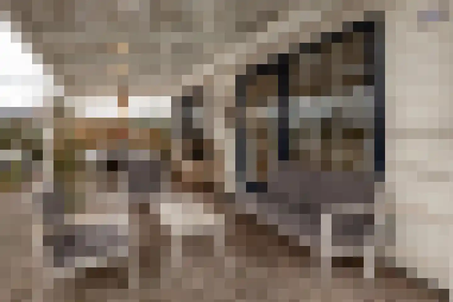 Kieftveen 18 Voorthuizen thumbnail 5