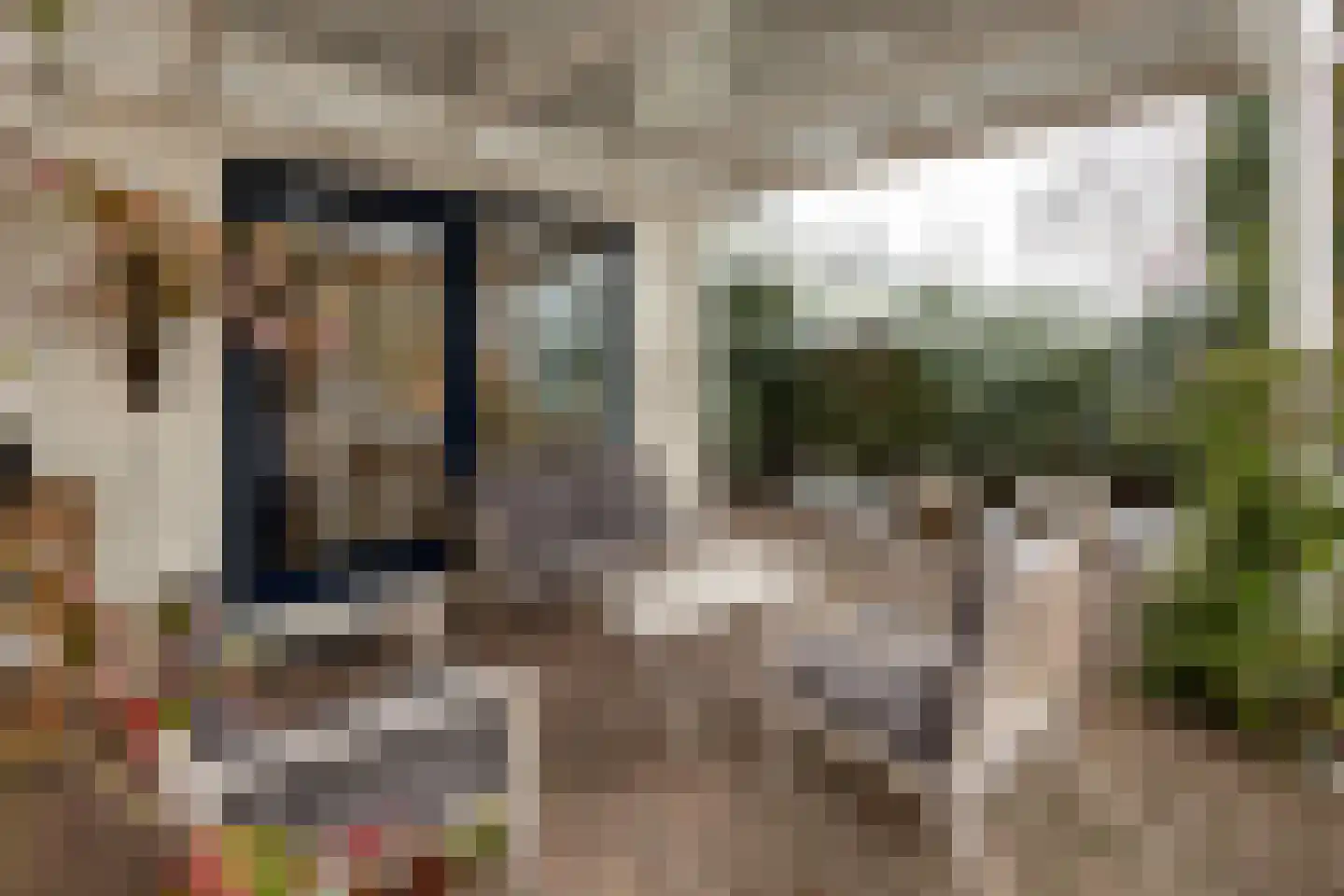 Kieftveen 18 Voorthuizen thumbnail 6