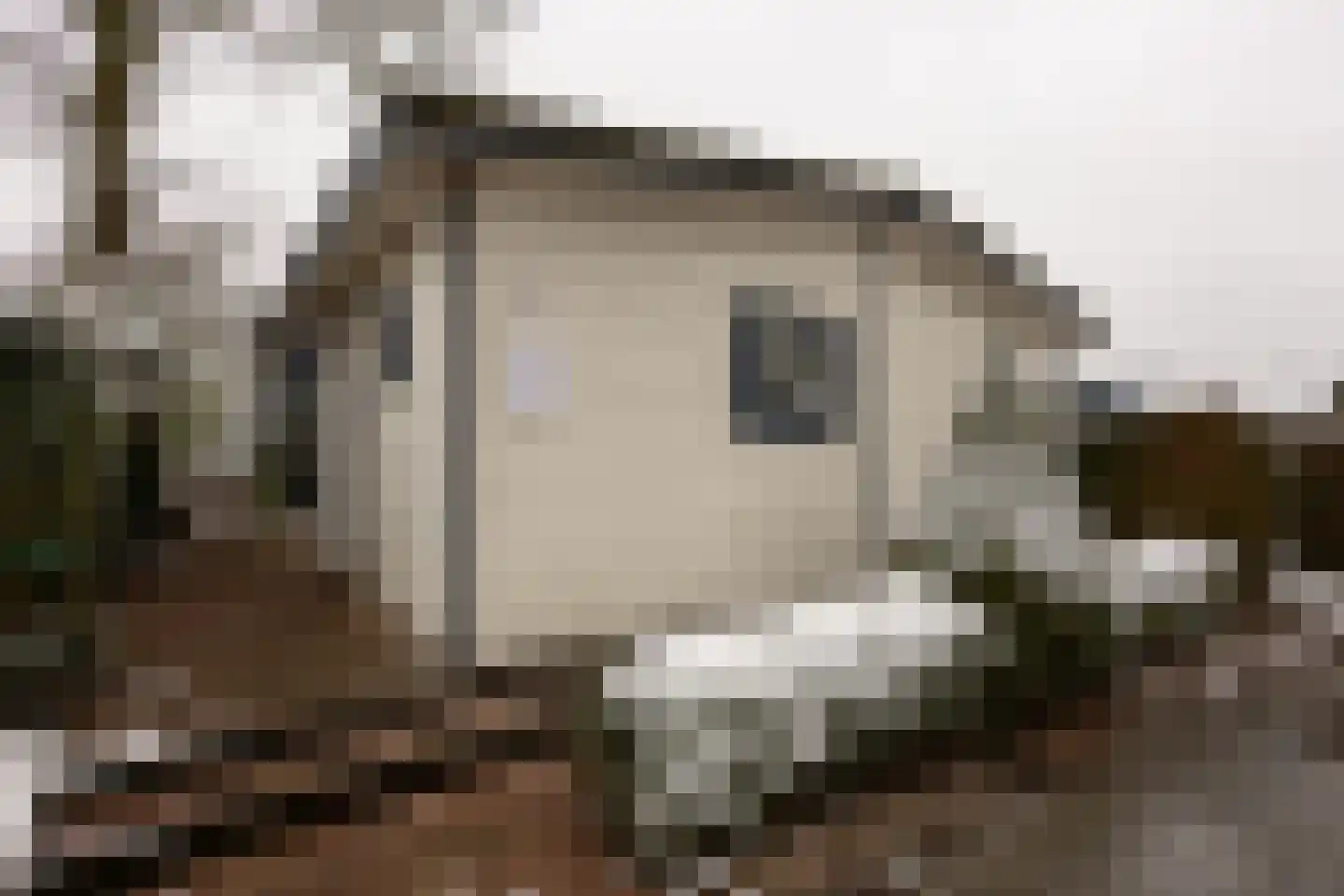 Kieftveen 18 Voorthuizen thumbnail 7