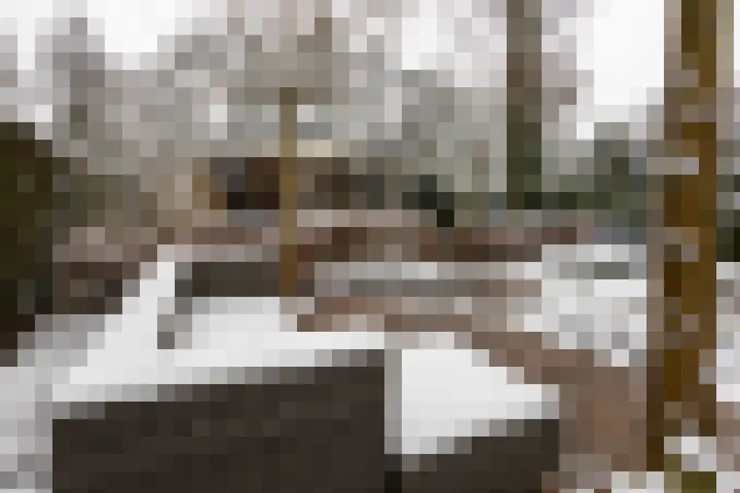 Kieftveen 18 Voorthuizen thumbnail 8