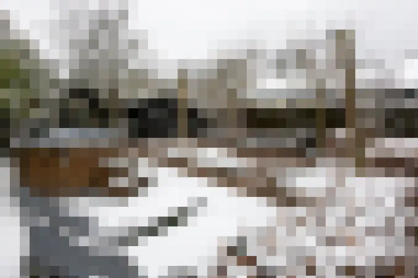 Kieftveen 18 Voorthuizen thumbnail 9