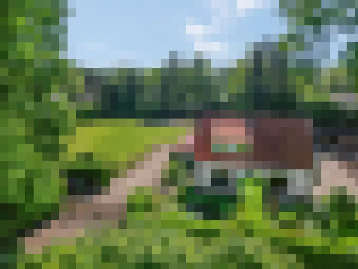 Kieftveen 23 Voorthuizen