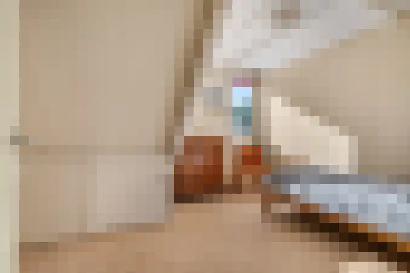 Kieftveen 23 Voorthuizen thumbnail 31