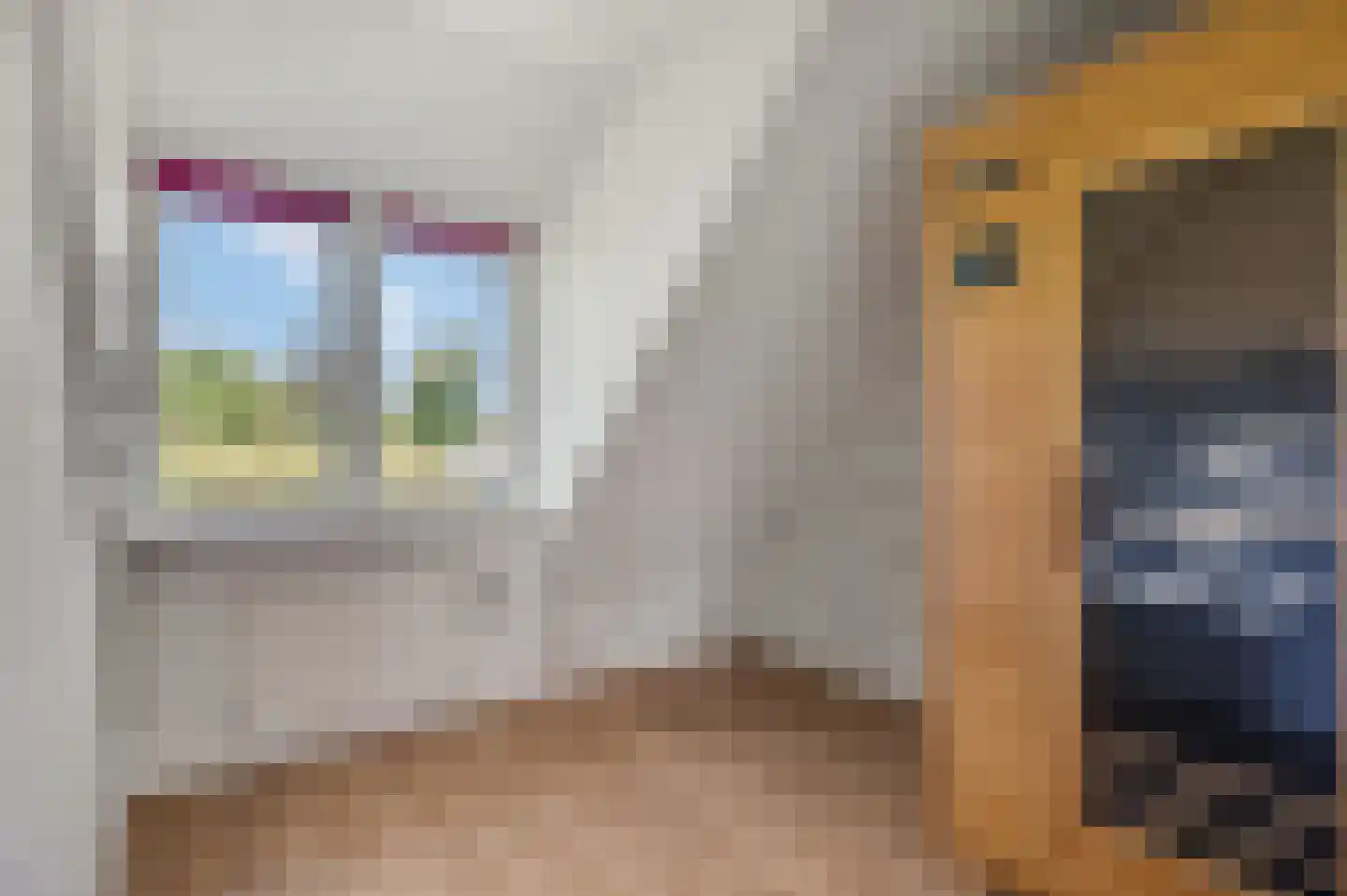 Kieftveen 23 Voorthuizen thumbnail 36