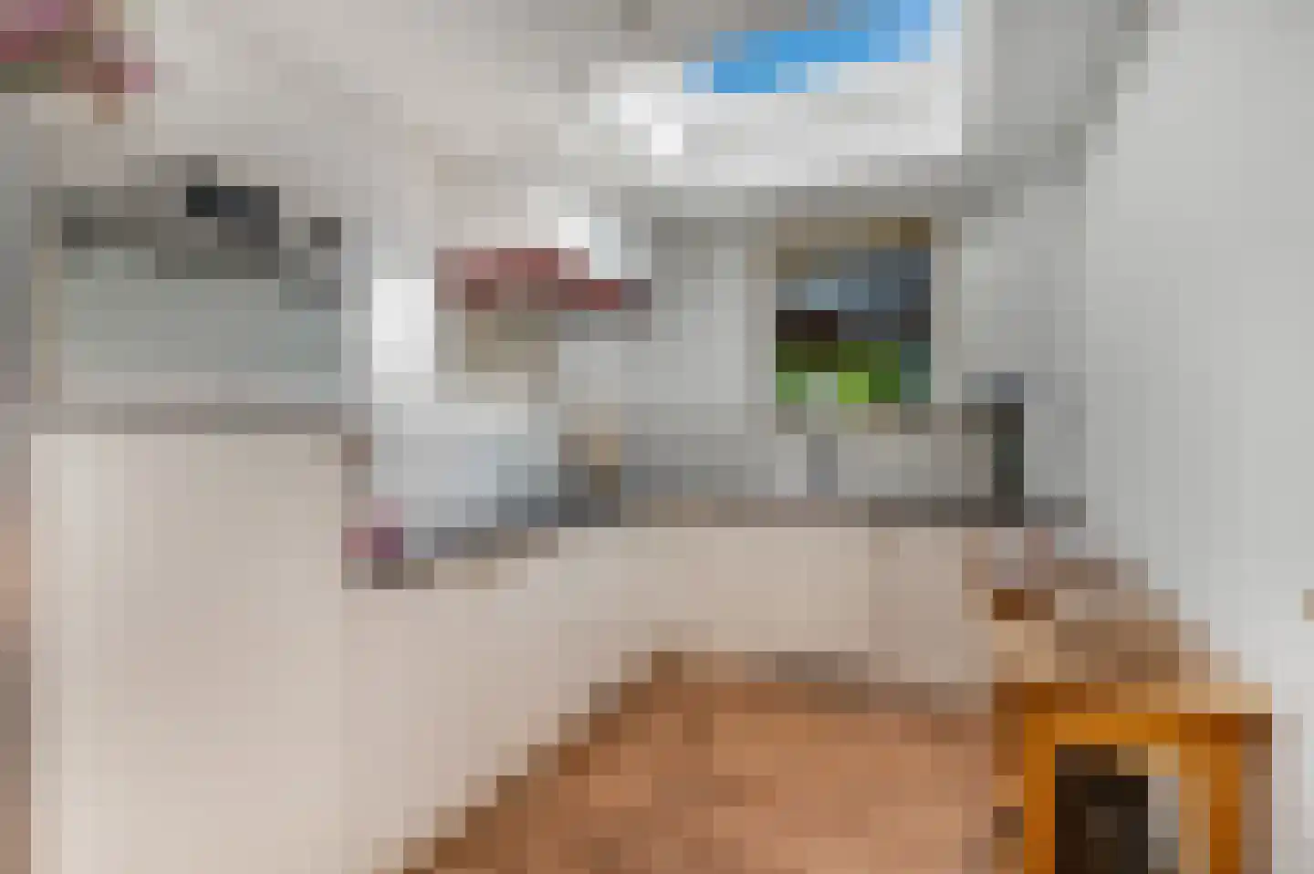 Kieftveen 23 Voorthuizen thumbnail 4