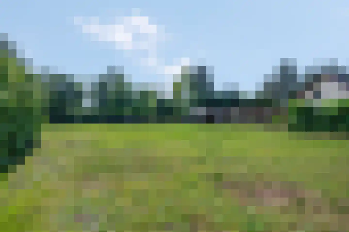 Kieftveen 23 Voorthuizen thumbnail 40