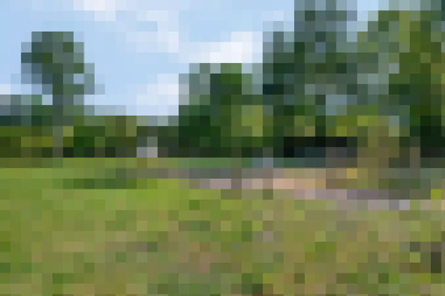Kieftveen 23 Voorthuizen thumbnail 41