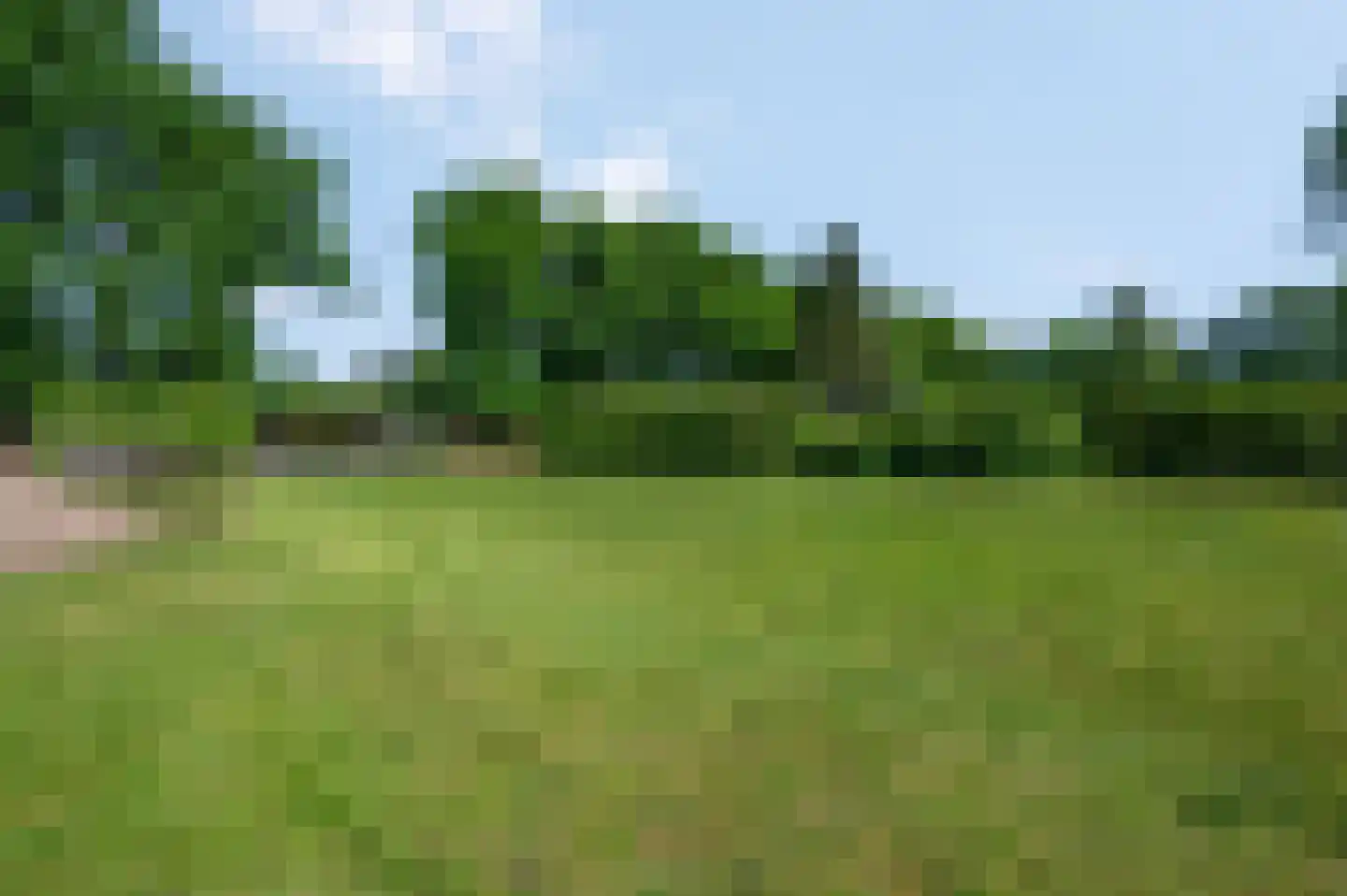 Kieftveen 23 Voorthuizen thumbnail 42