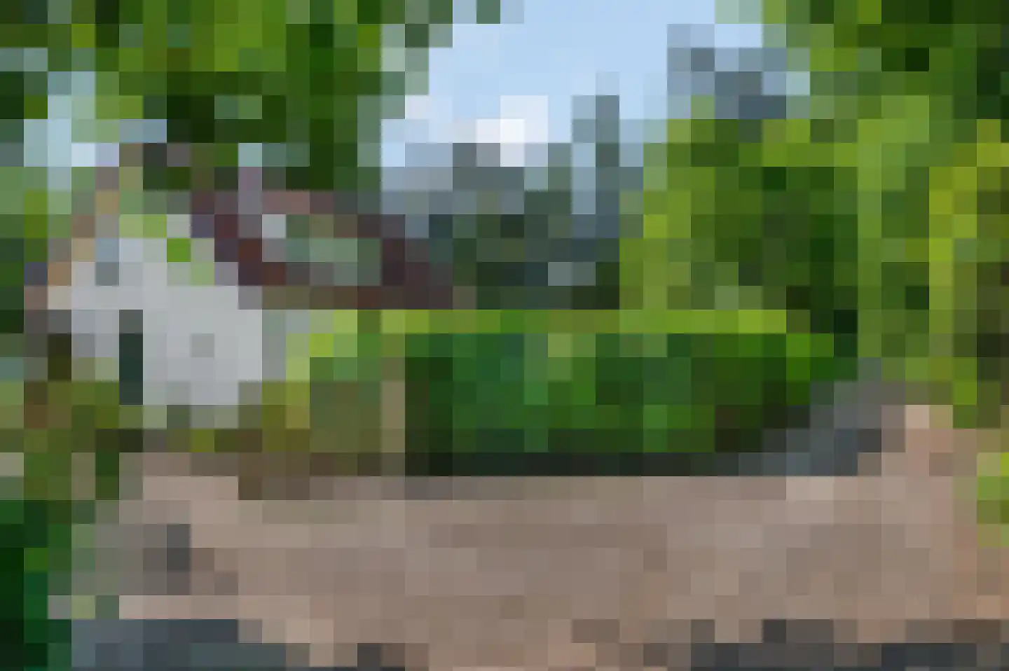 Kieftveen 23 Voorthuizen thumbnail 46
