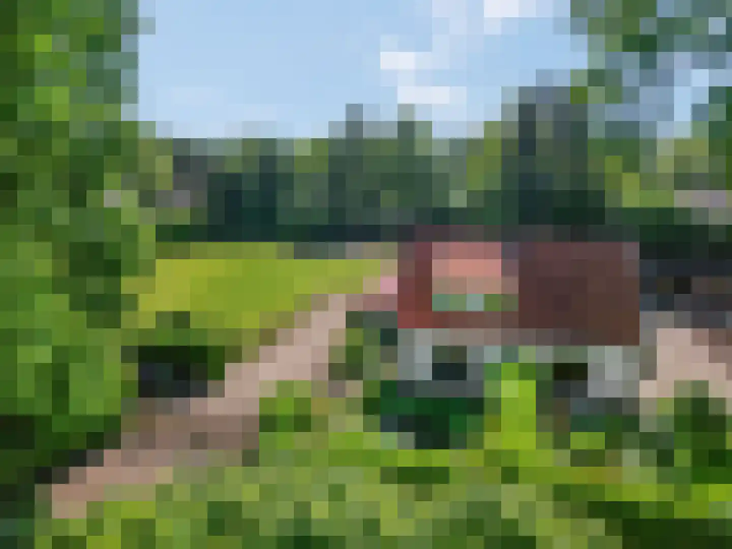 Kieftveen 23 Voorthuizen thumbnail 5