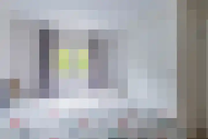 Kieftveen 30 02 Voorthuizen thumbnail 14