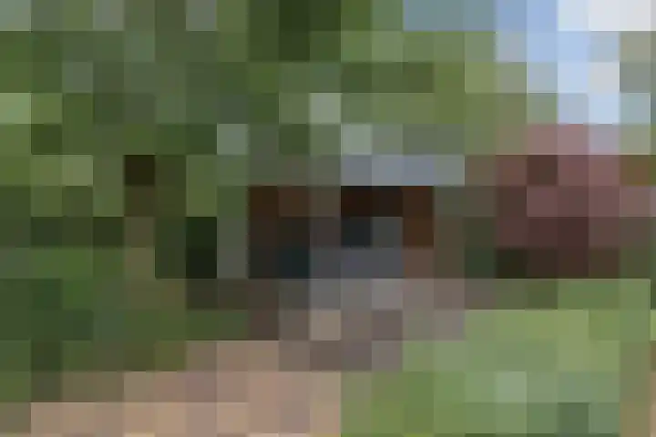 Kieftveen 30 02 Voorthuizen thumbnail 25