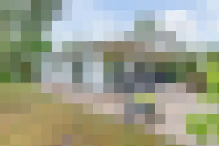 Kieftveen 30 02 Voorthuizen thumbnail 27