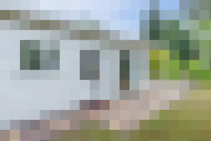 Kieftveen 30 02 Voorthuizen thumbnail 28