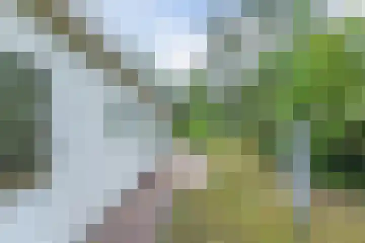 Kieftveen 30 02 Voorthuizen thumbnail 29