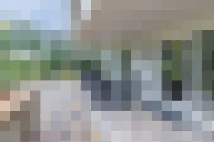 Kieftveen 30 02 Voorthuizen thumbnail 30