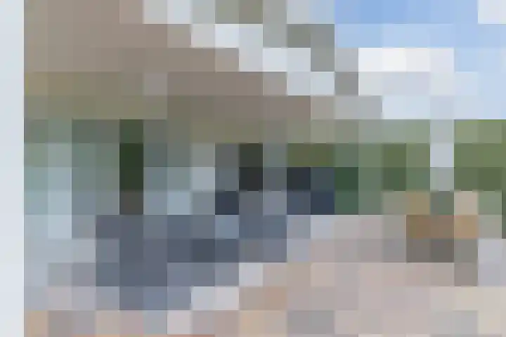 Kieftveen 30 02 Voorthuizen thumbnail 31