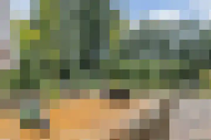 Kieftveen 30 02 Voorthuizen thumbnail 32