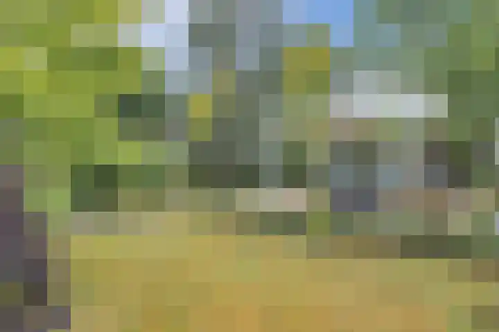Kieftveen 30 02 Voorthuizen thumbnail 33