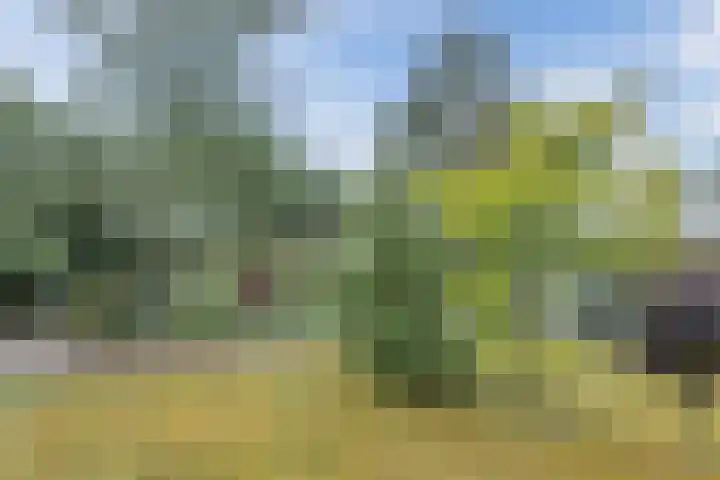 Kieftveen 30 02 Voorthuizen thumbnail 35