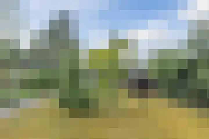 Kieftveen 30 02 Voorthuizen thumbnail 36