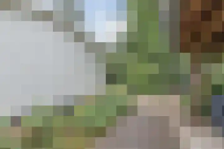 Kieftveen 30 02 Voorthuizen thumbnail 38