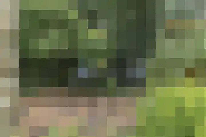 Kieftveen 30 02 Voorthuizen thumbnail 39