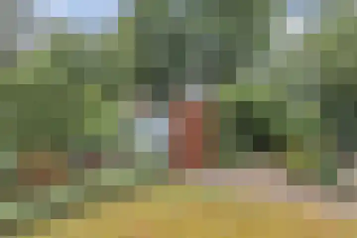 Kieftveen 30 02 Voorthuizen thumbnail 40