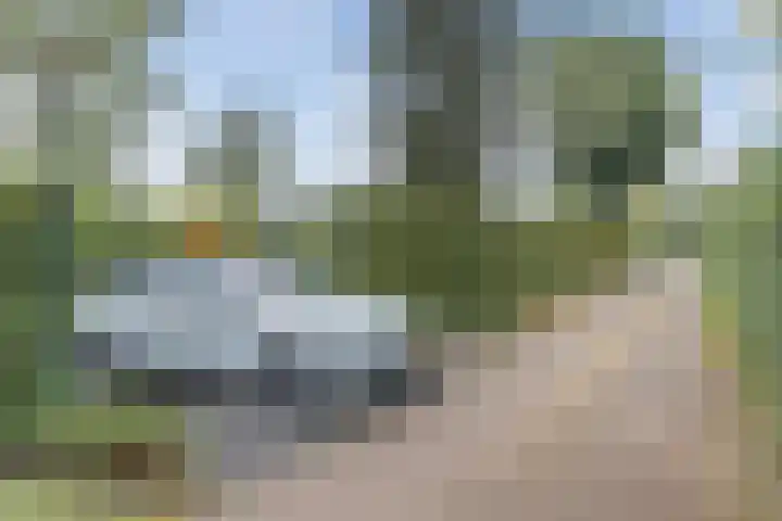 Kieftveen 30 02 Voorthuizen thumbnail 42