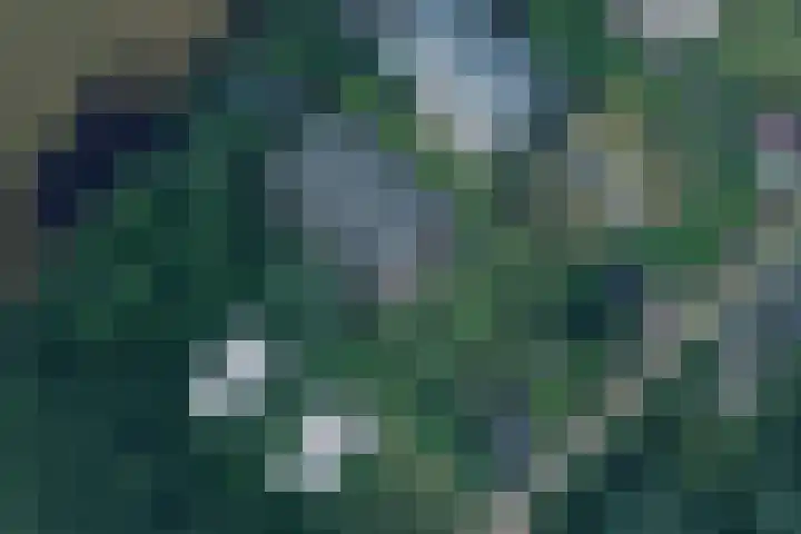 Kieftveen 30 02 Voorthuizen thumbnail 43