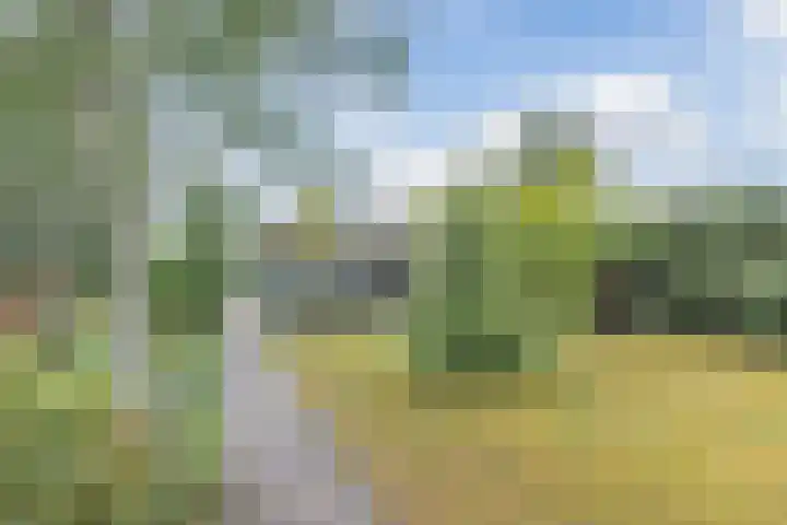 Kieftveen 30 02 Voorthuizen thumbnail 48