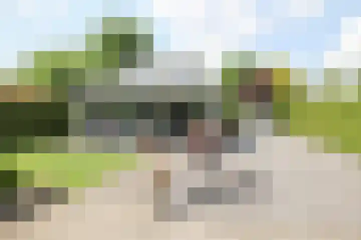 Kieftveen 30 07 Voorthuizen thumbnail 38