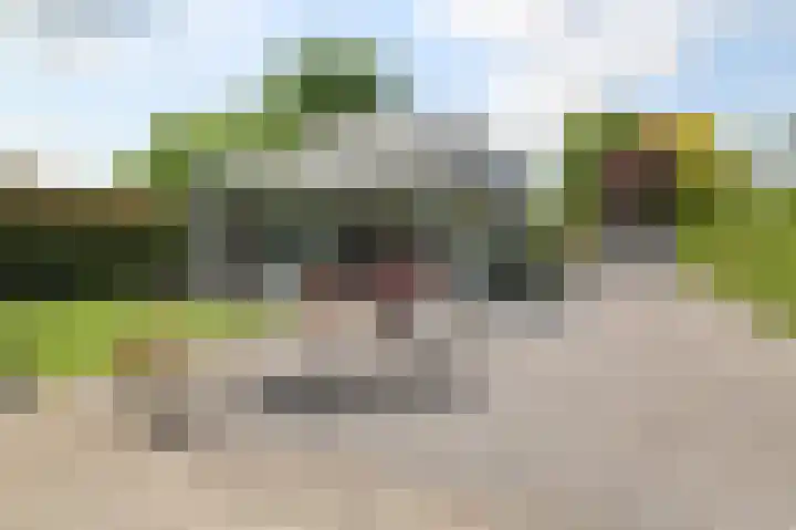 Kieftveen 30 07 Voorthuizen thumbnail 39