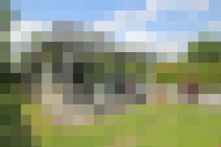 Kieftveen 30 07 Voorthuizen thumbnail 42