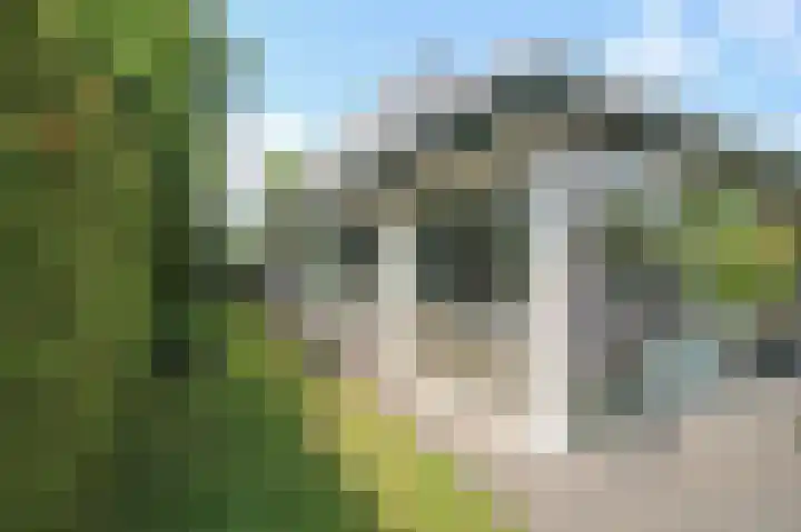 Kieftveen 30 07 Voorthuizen thumbnail 43