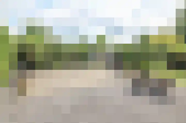 Kieftveen 30 07 Voorthuizen thumbnail 50