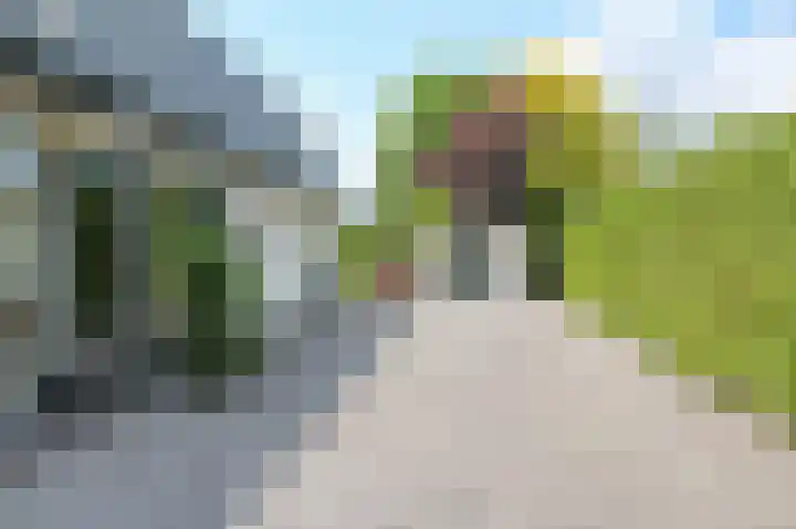Kieftveen 30 07 Voorthuizen thumbnail 51