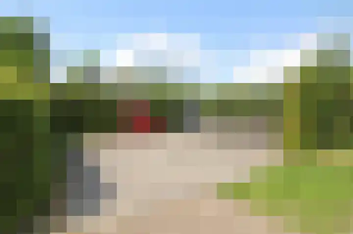 Kieftveen 30 07 Voorthuizen thumbnail 61