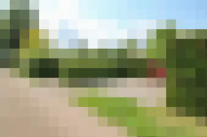 Kieftveen 30 07 Voorthuizen thumbnail 63