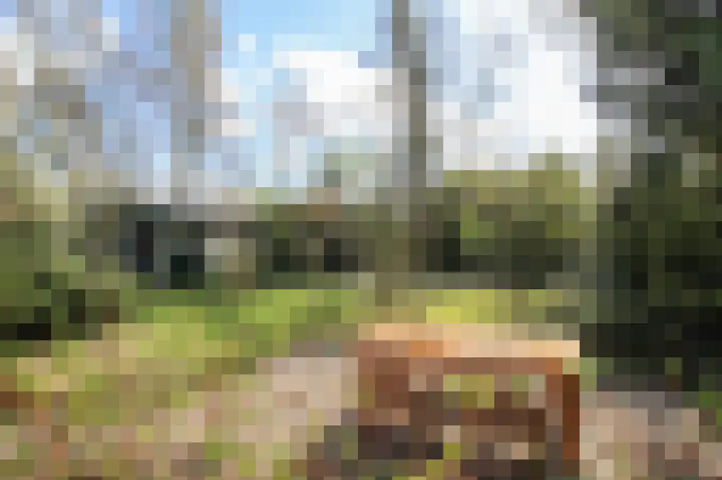 Kieftveen 30 109 Voorthuizen thumbnail 53