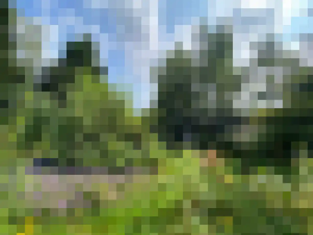 Kieftveen 30 109 Voorthuizen thumbnail 58