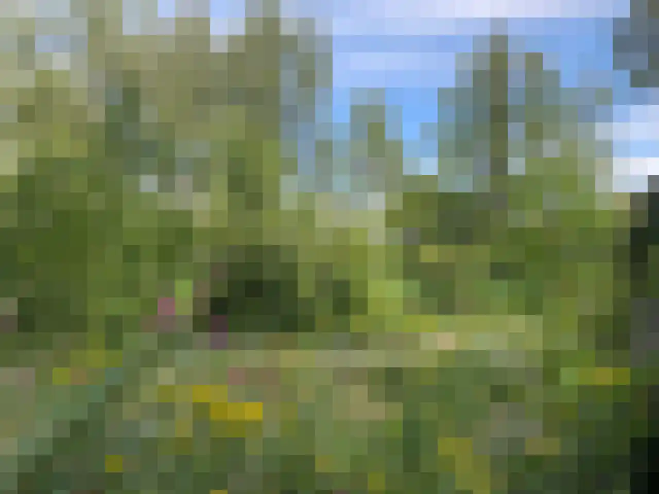 Kieftveen 30 109 Voorthuizen thumbnail 63